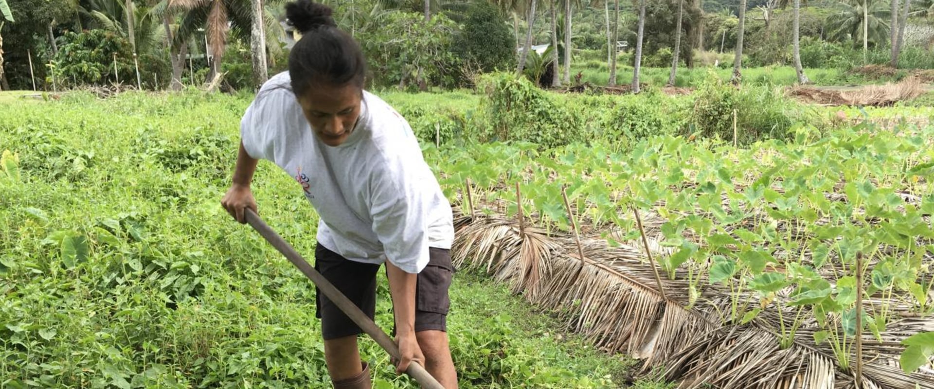 The Impact of Changing Food Production Practices on South Australian